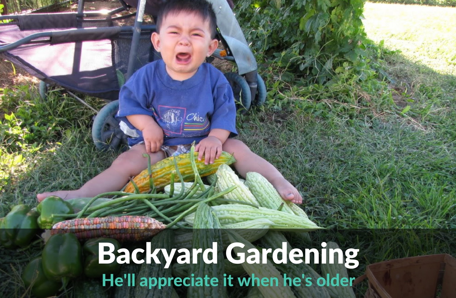 Backyard Gardening - You Can Do It!